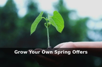 Grow Your Own Spring Offers — Buy Sheds Direct