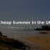 How to Save Money on Your Food Shop in Summer – Seasonal Tips That Cut 50 Pounds a Week