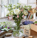 Free Vase and 5th box for FREE