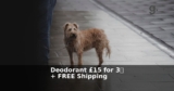 grüum UK: Deodorant £15 for 3 + FREE Shipping