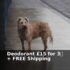grüum UK Offer