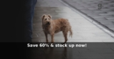 grüum UK: Save 60% & stock up now!