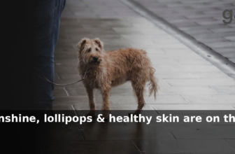 grüum UK: SPF sunscreens. Sunshine, lollipops & healthy skin are on the horizon.