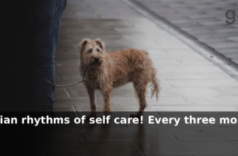 grüum UK: Tune into the circadian rhythms of self care! Every three months we’ll