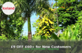 £9 OFF £60+ for New Customers — Iceland