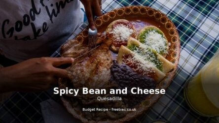Spicy Bean and Cheese Quesadilla