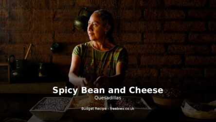 Spicy Bean and Cheese Quesadillas