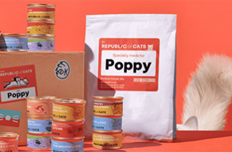 Cat Taster Box