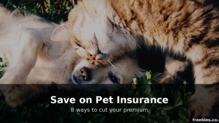 How to Save Money on Pet Insurance in 2026 – 8 Ways to Cut Your Premium