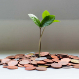 Weekly Money Saving Tips 