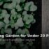 How to Save Money on Garden Furniture – Cheap Outdoor Seating Ideas