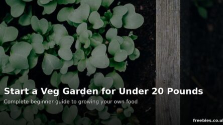 How to Start a Vegetable Garden for Under £20