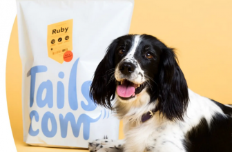 60% off you first dog food box
