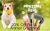 Pawsome Wahl Pet Clipper Deal